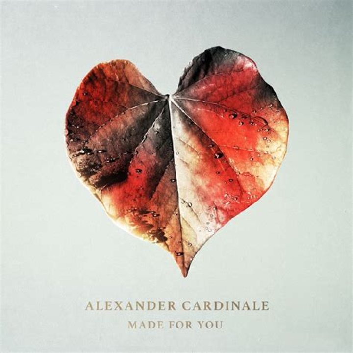 
Alexander Cardinale Age, Birthday, Wikipedia, Who, Nationality, Biography 