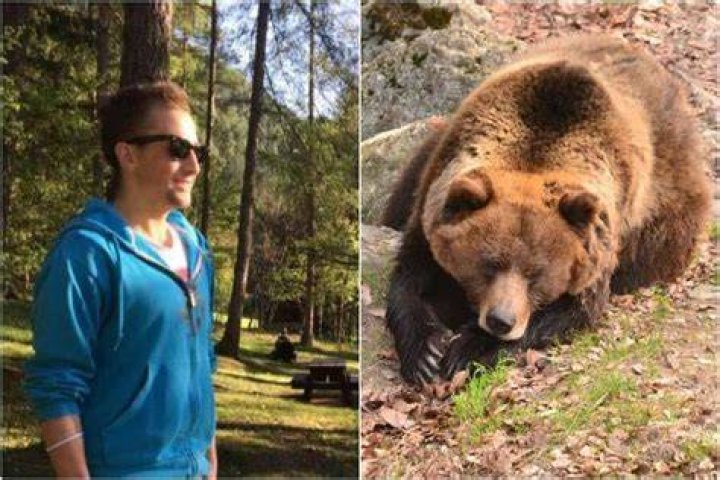 
Andrea Papi Incidente: Runner Morto Bear Attack 