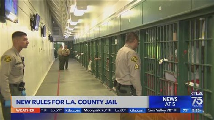 
Detailed Data on Hadley Palmer’s Jail Sentence – Is She At the moment in Jail? 
