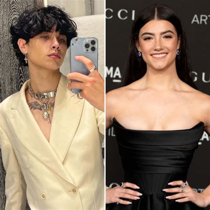 Is Noah Beck Gay? Is the TikTok Star Dating James Charles?