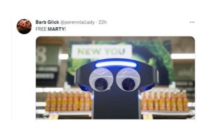 
Marty the robot escapes a grocery store, sparks hilarious reactions online 