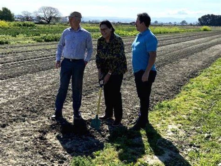 
New Zealand enhances protection for most-productive land 