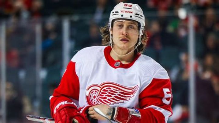 Tyler Bertuzzi Height, Weight, Net Worth, Age, Birthday, Wikipedia, Who, Nationality, Biography