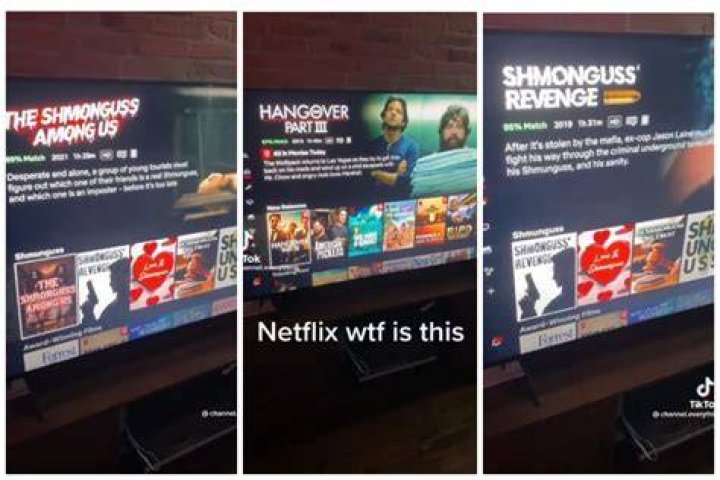What is Shmunguss on Netflix? Viral category takes TikTok by storm