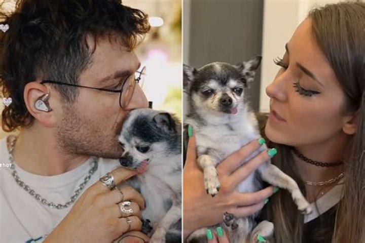 
Who is Youtuber Jenna Marbles? Her Wiki: Dog, Net Worth, Dating, House, Real Name, Engaged, Wedding, Measurements 